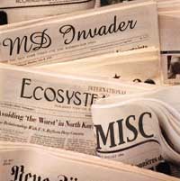 Newspapers with MISC headlines