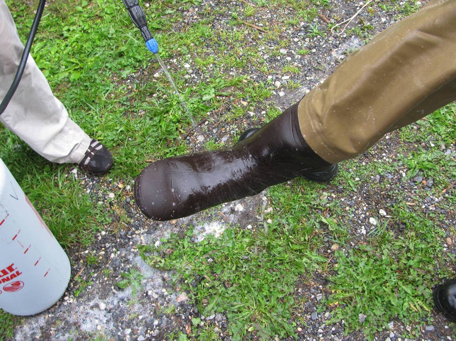 wading boots