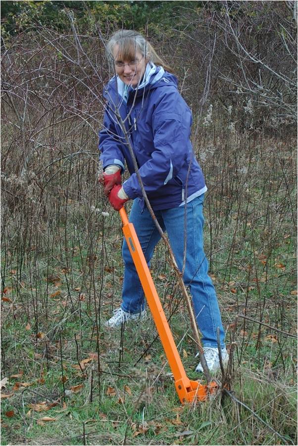 weed wrench