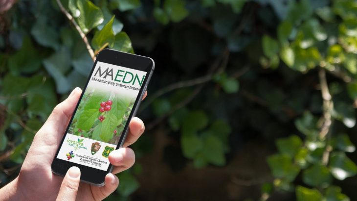 Not a Professional Scientist? You Can Contribute Regardless! MAEDN 730x410